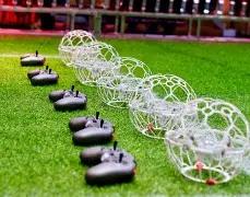 大坂直美舍,弃美籍,投身日本奥,宝威体育平台,宝威体育官方网站,宝威体育登录入口,宝威体育app下载