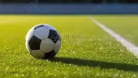 宝威体育 产品 104446 gq0