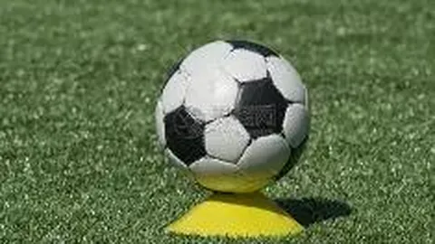 宝威体育 资讯 123427 i1b