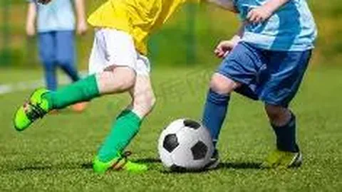 宝威体育 资讯 124452 qts