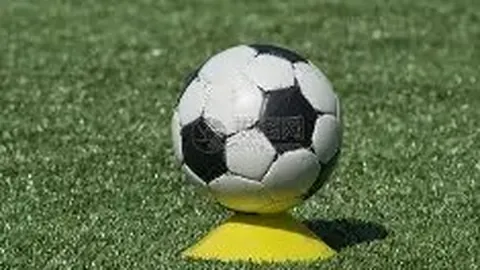 宝威体育 资讯 102436 muf