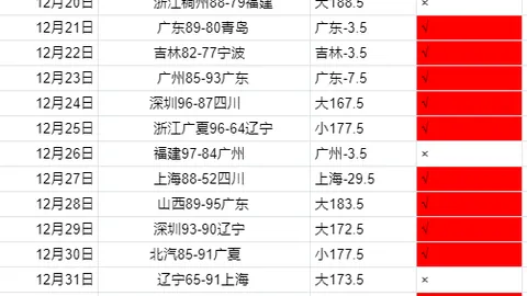 梅里诺加盟賴斯強化前鋒，中鋒補強助球隊奪冠在望